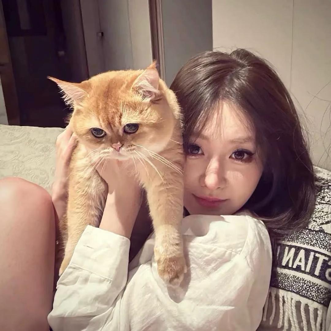 脸上有肉