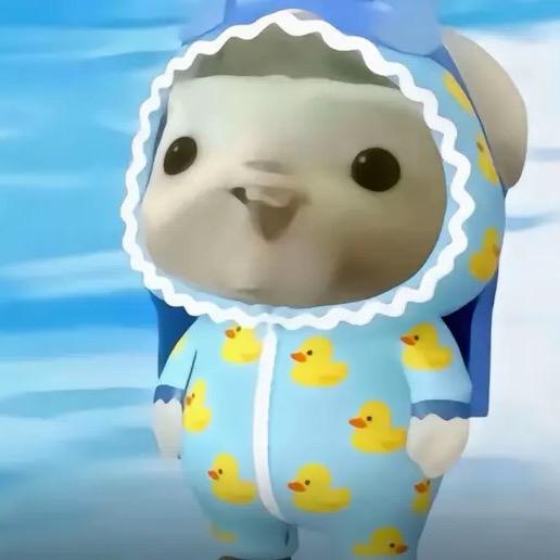 PaddingdonPiggy