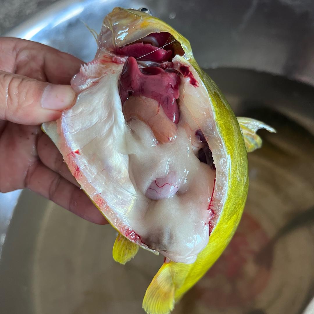 湖南坤源集团范少飞