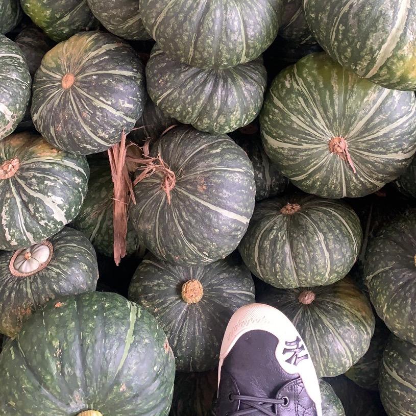 小李子「瓜满田团队」