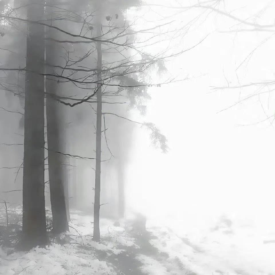 诗诗手作🪵