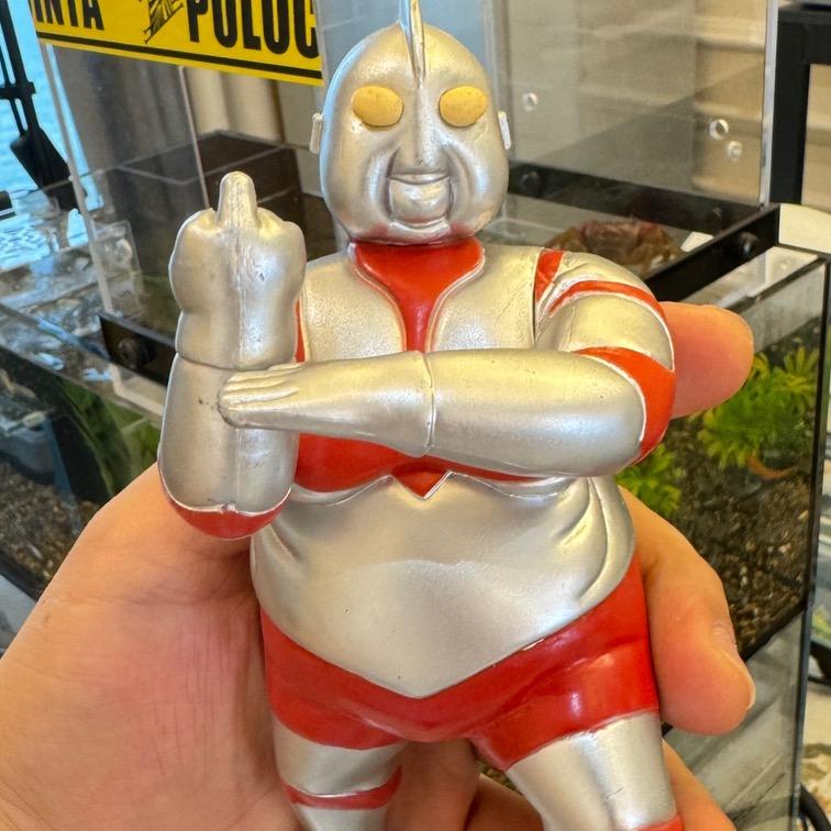 路不烦