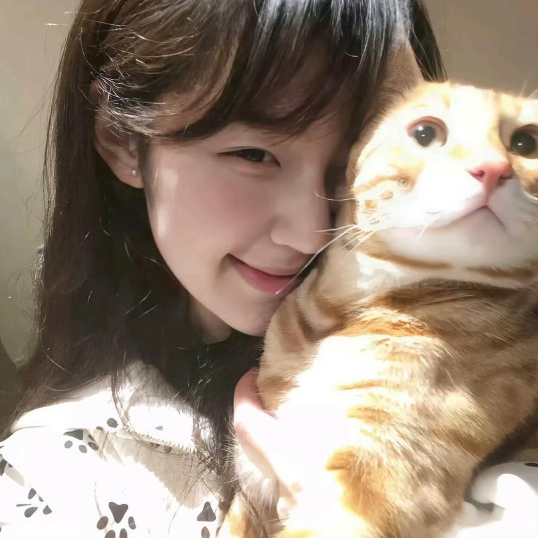 Kitten