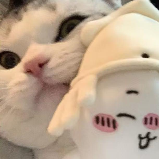 等风停