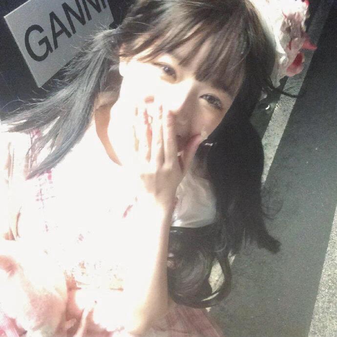 北葵