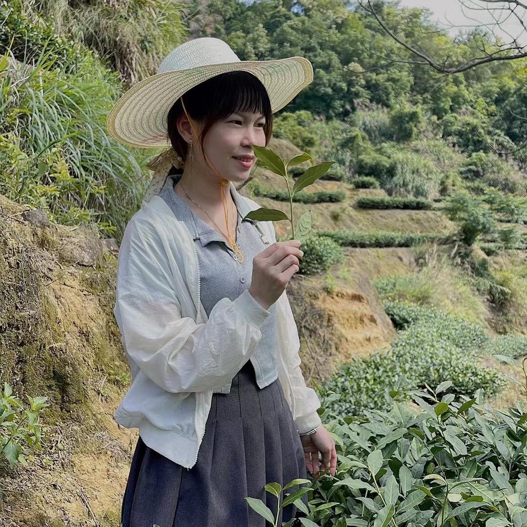安溪尚梅茶行