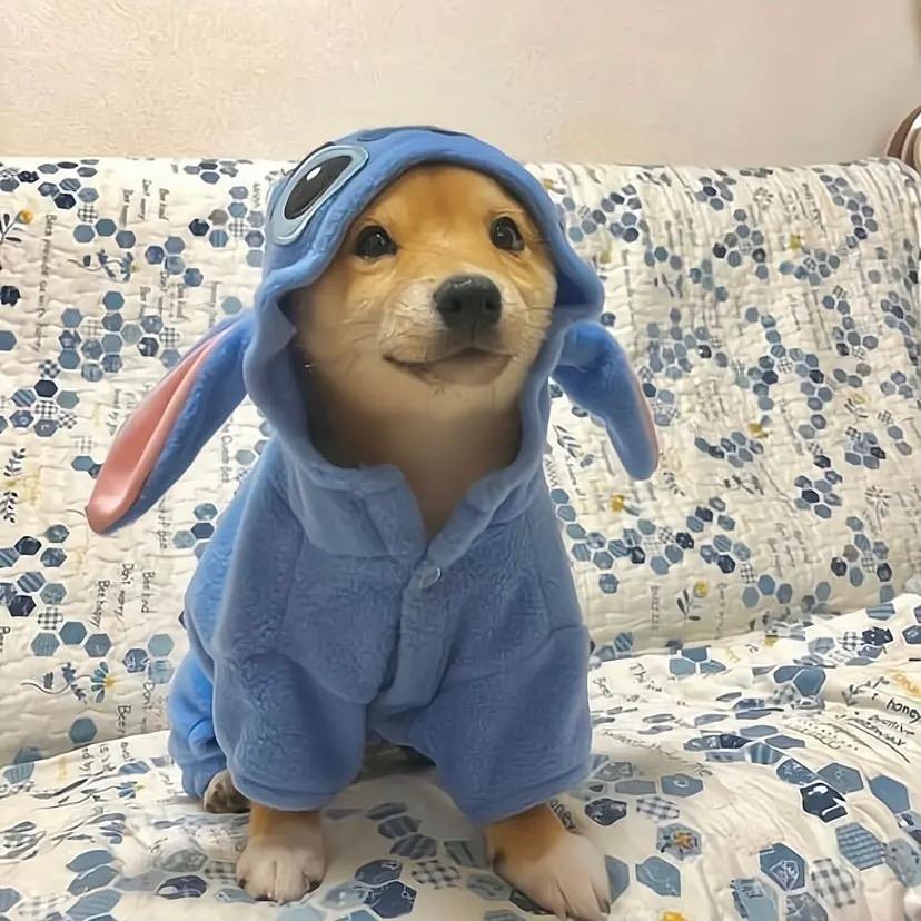 小麦记（三角洲版）