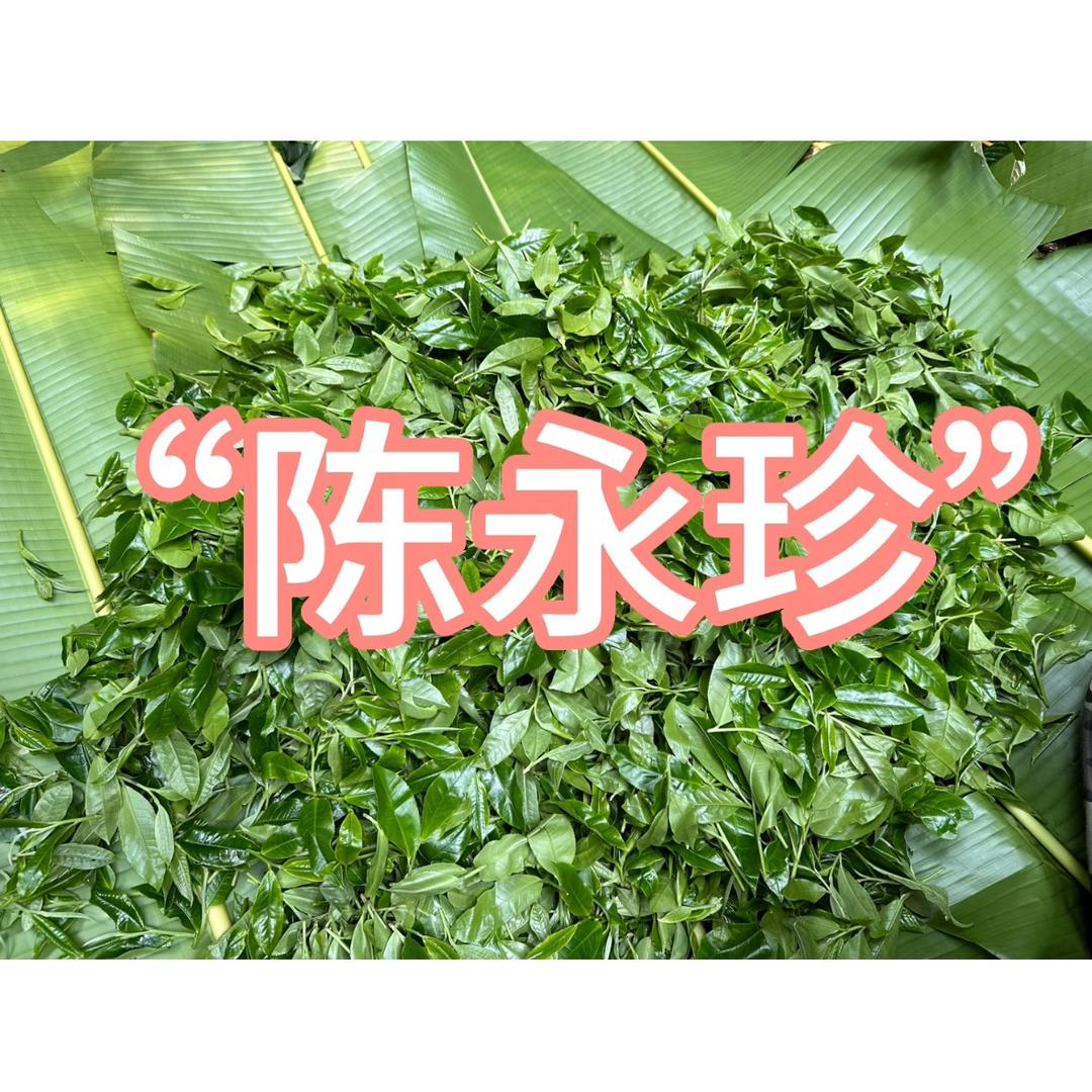 陈永珍®专注易武贡茶