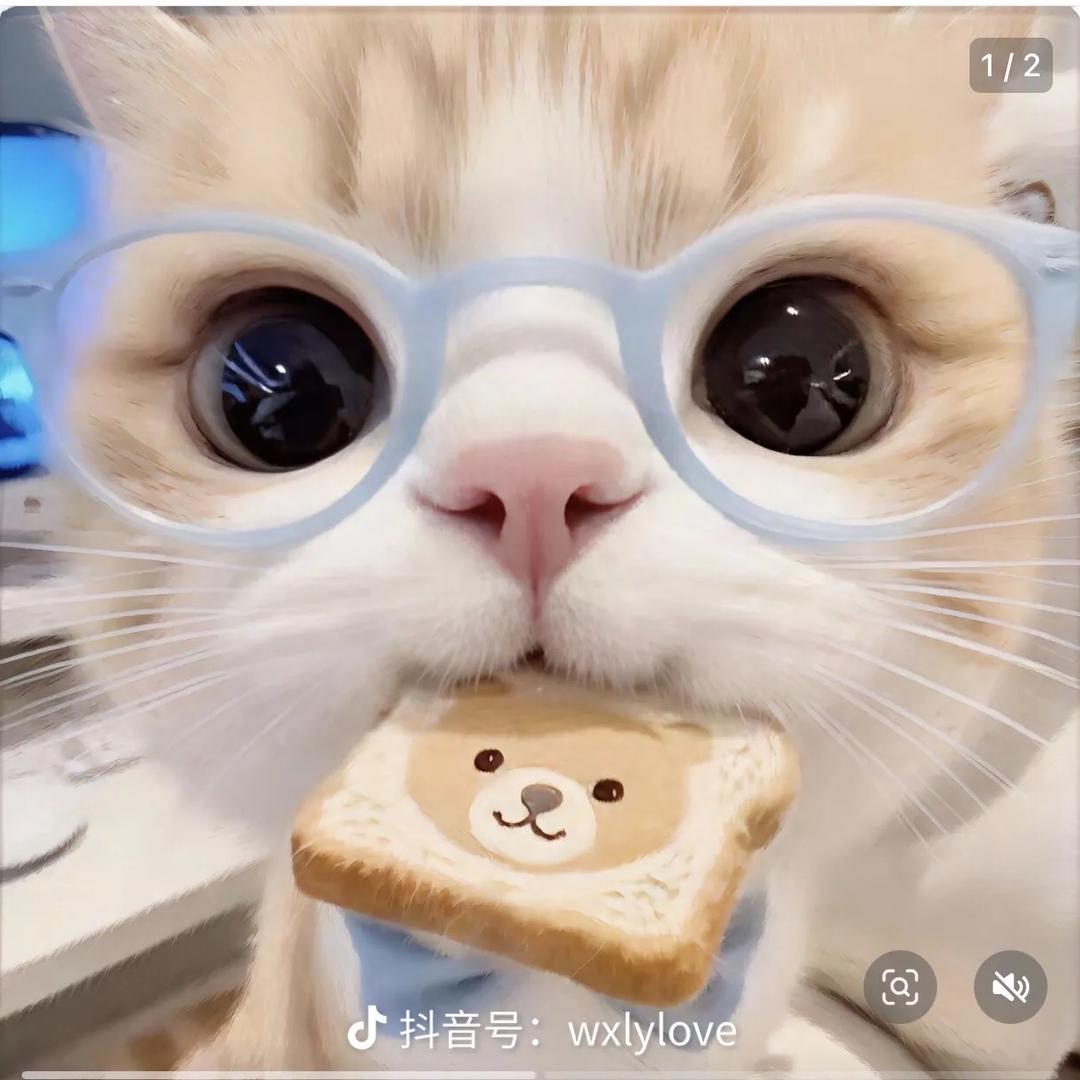 柒柒·拆卡（欧气版）