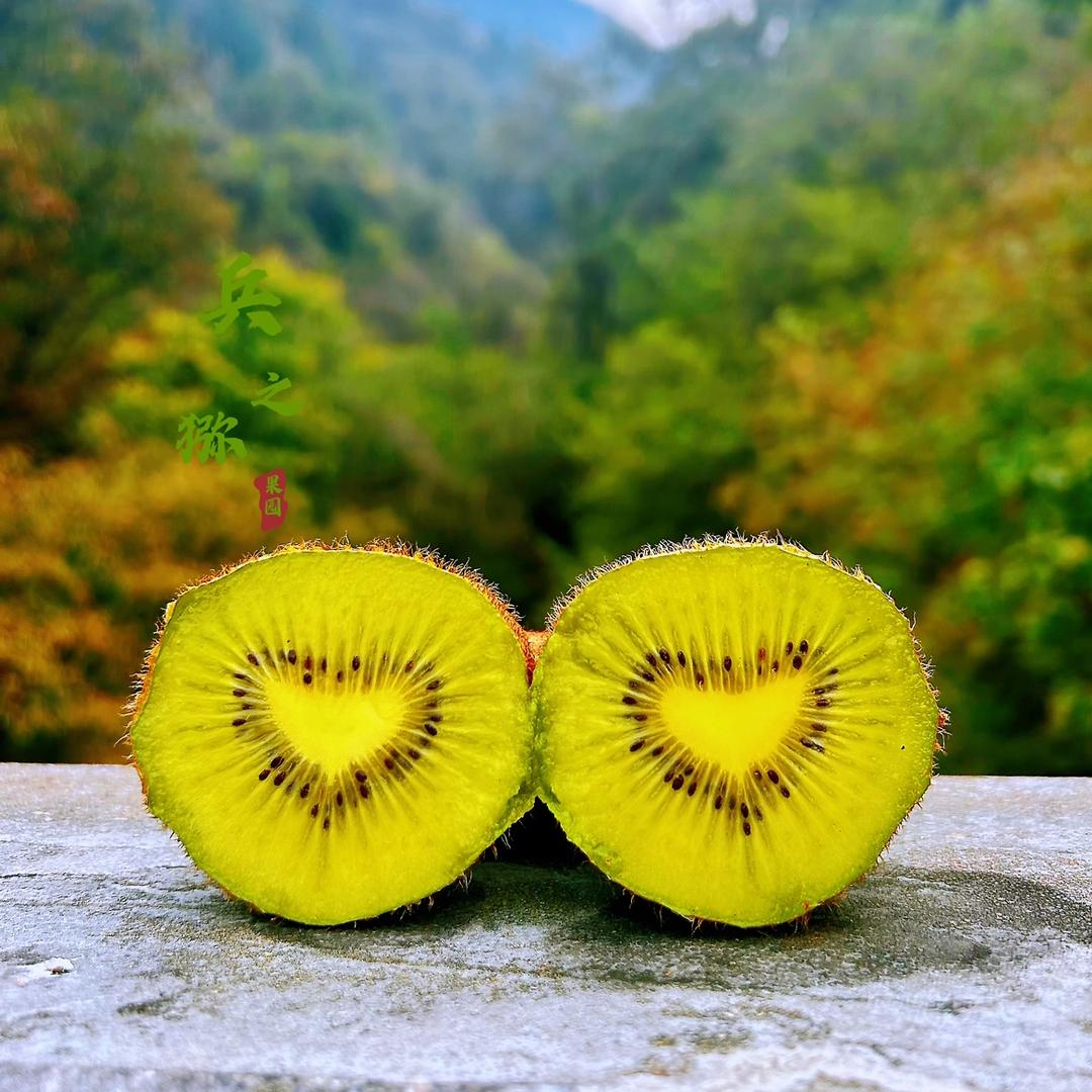 觅源果业（兵之猕）