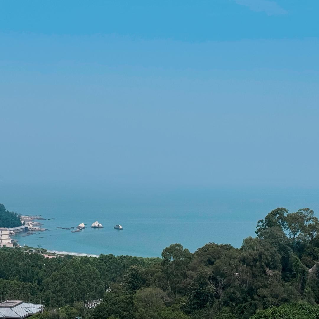 大个漂亮白