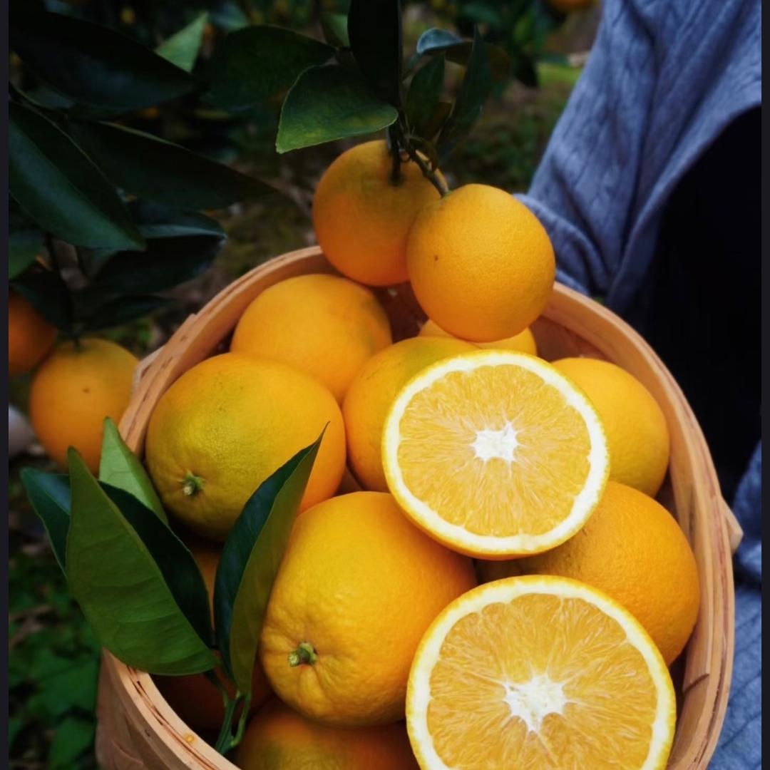 鲜果果园（第二天到）