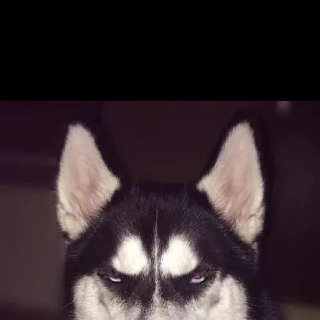 千万大网红的小粉丝