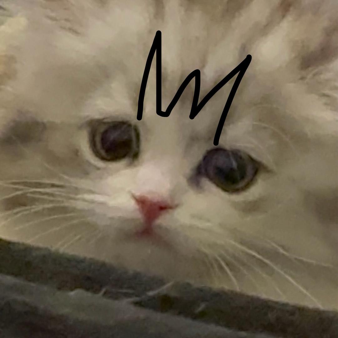 哈姆