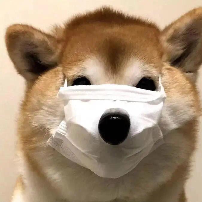 共赴倒悬山