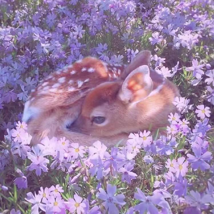 𝐀𝐈·𝐌𝐢𝐧𝐝𝐂𝐨𝐝