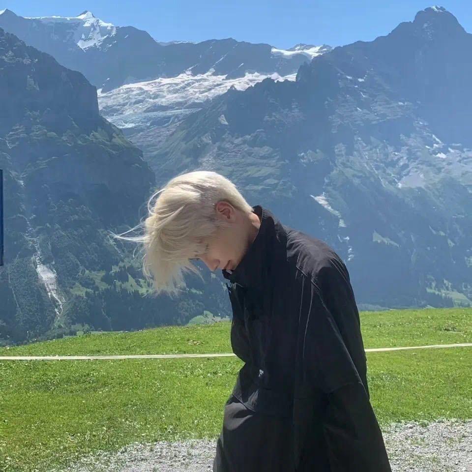 会动的西兰花🥦