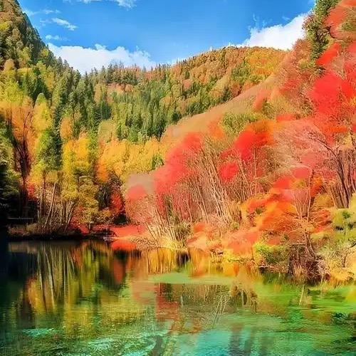 青岛旅游攻略@姜姜