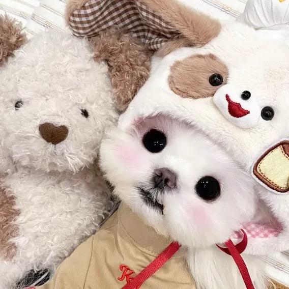 .初.