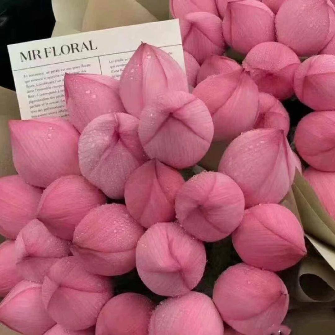 ❤️ love 💕 幸🍒运💖💖