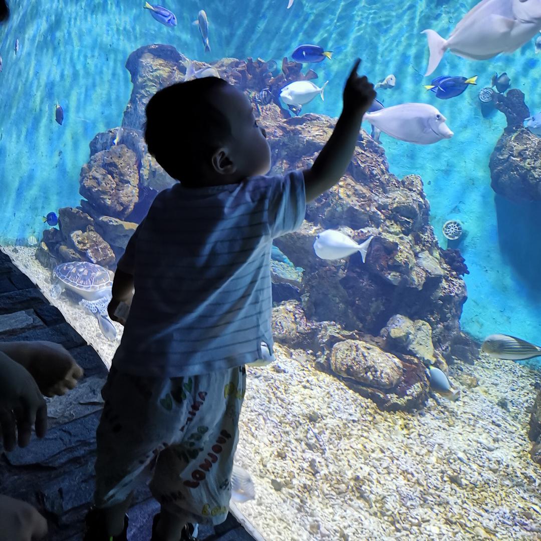 乐乐小盆友的秘密基地