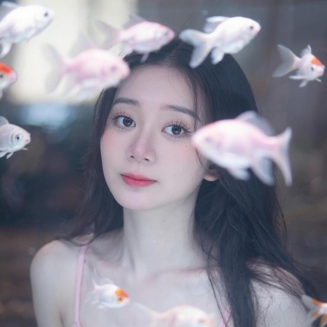 何包蛋