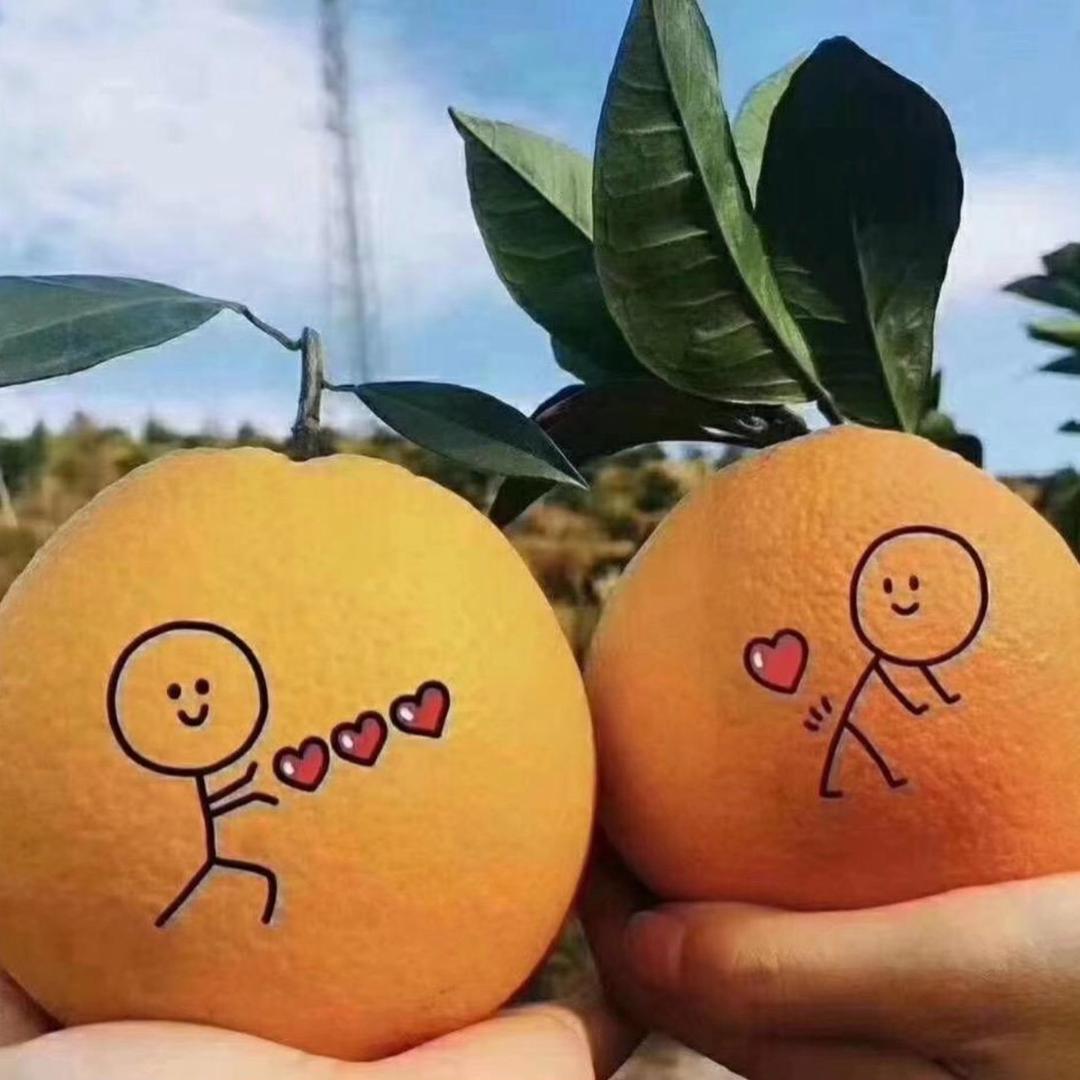 赣南农品精选