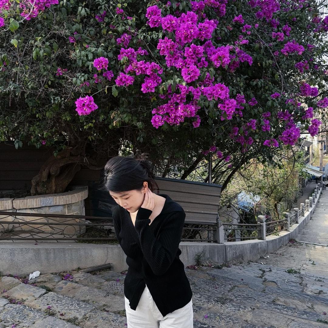 花噜噜花卉基地