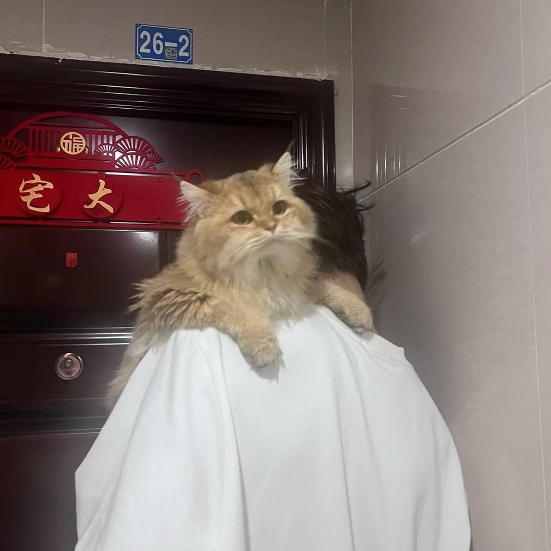 新与旧
