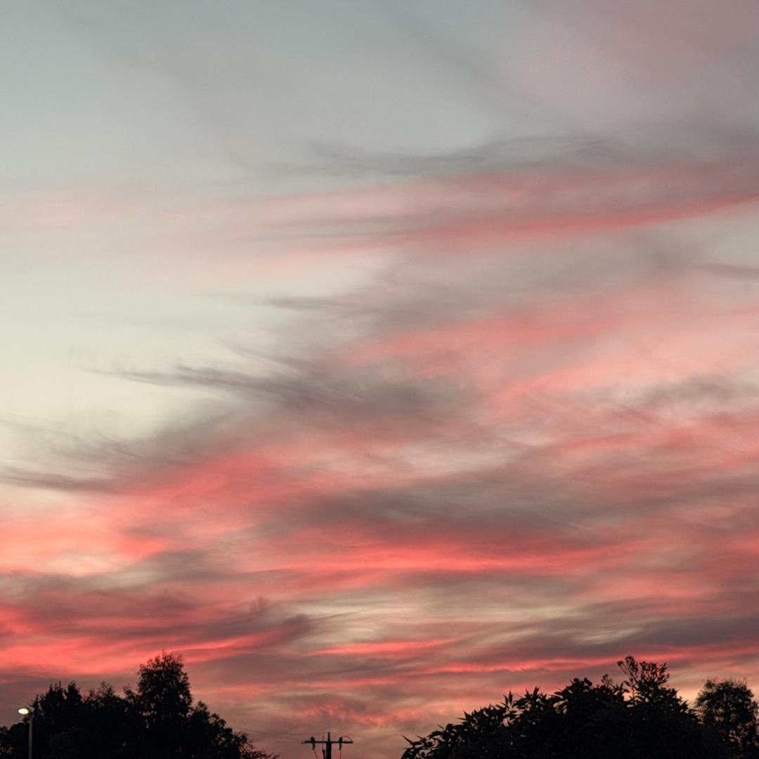 袜子反起穿🌋(随礼版)