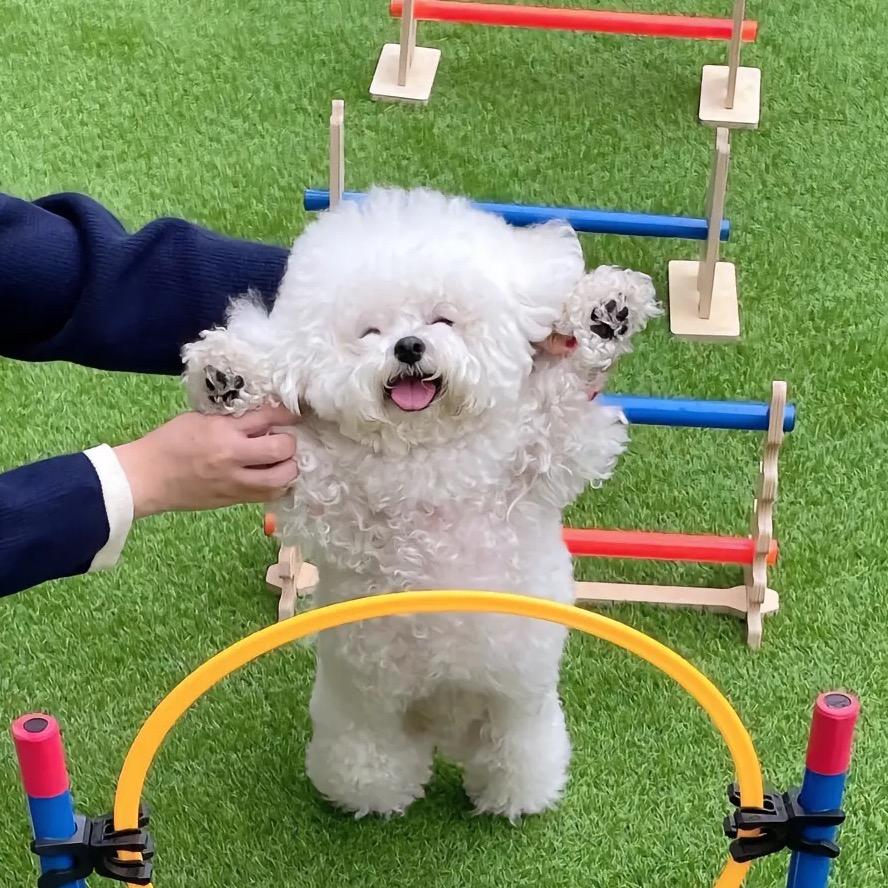 二十六万一千零二十六