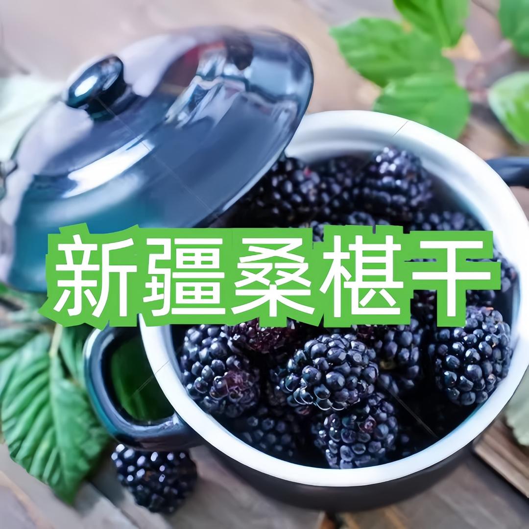 新疆特产黑桑葚干批发