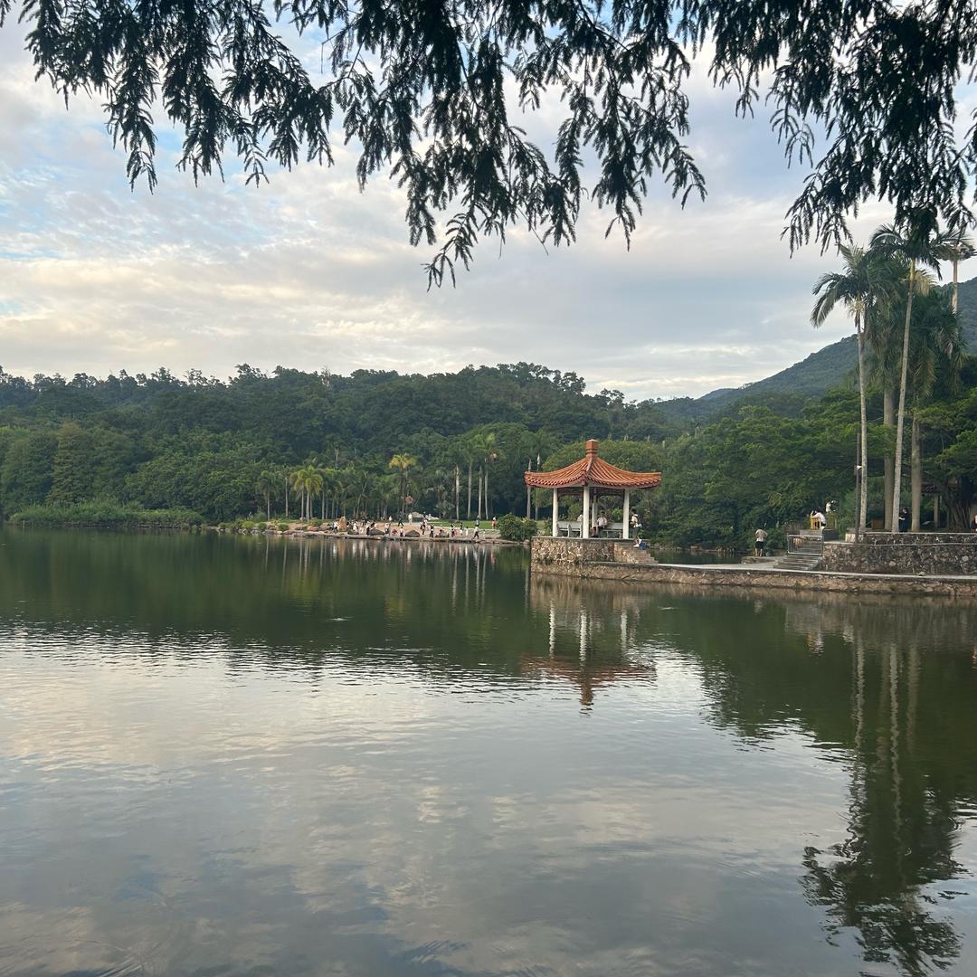 小唐哥