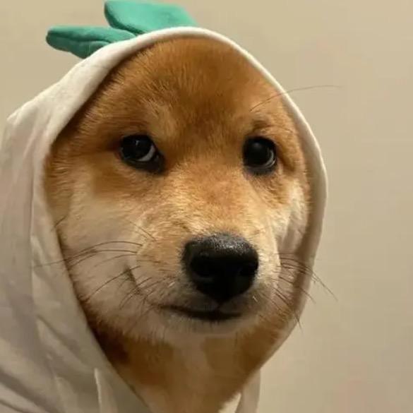 大大怪物
