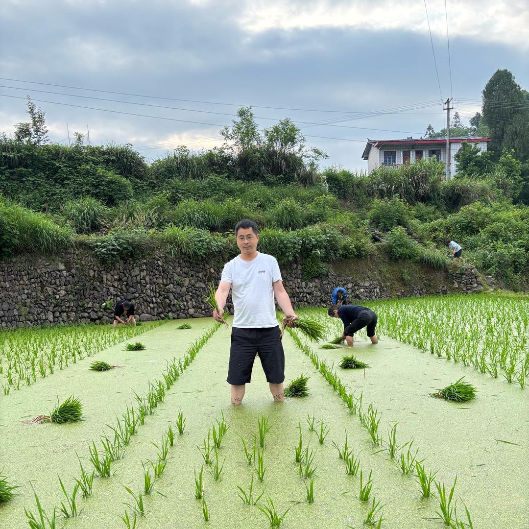 鲜果甄选
