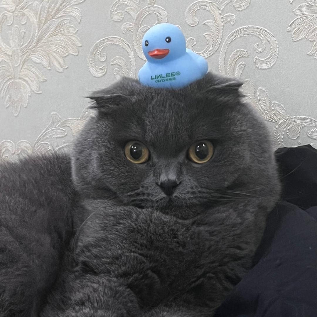 办公室保安