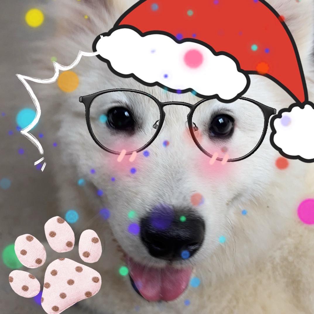 脆弱的皇帝（沉淀版）