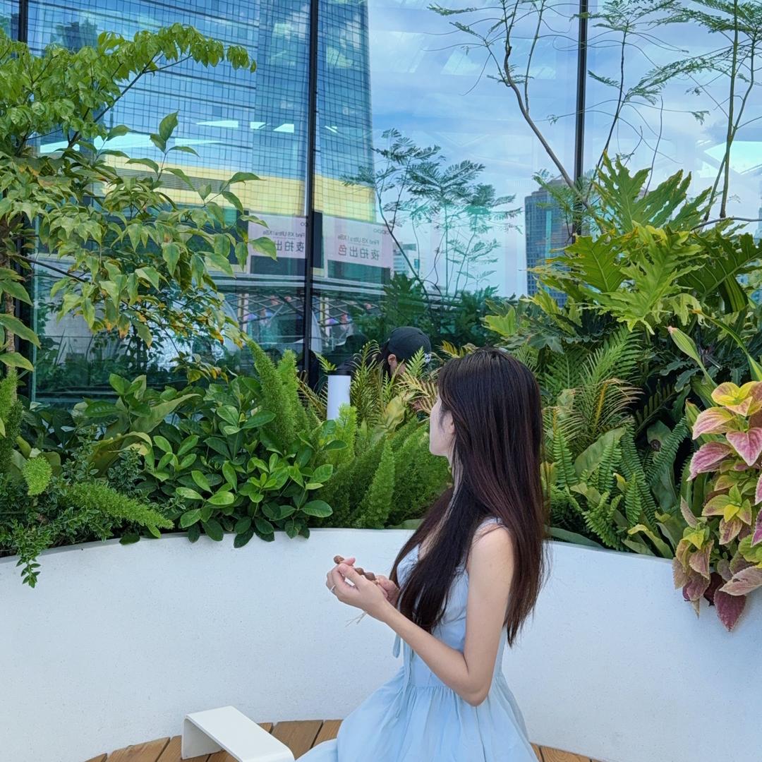 晚枫梅林铁核