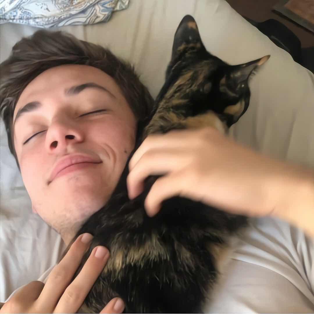 猪猪侠罐头