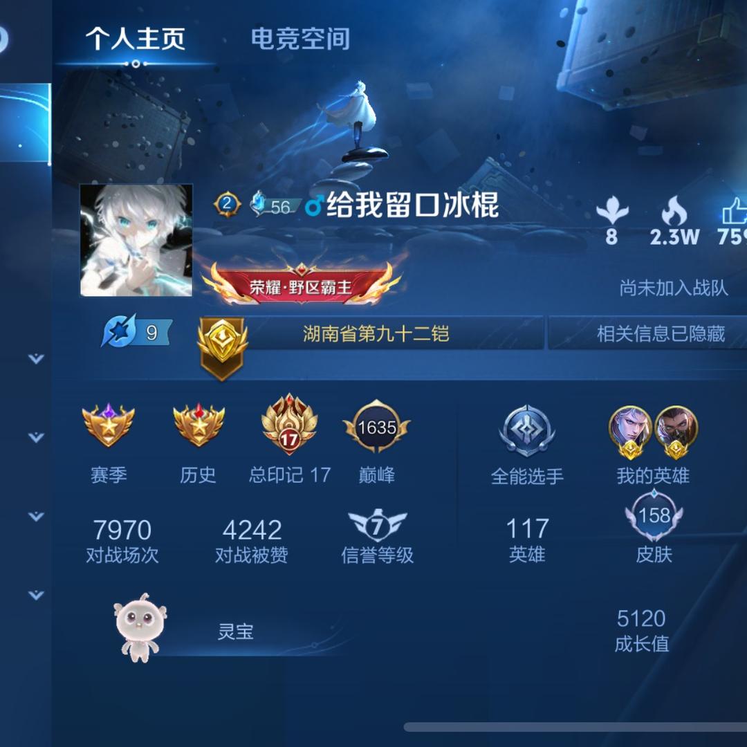 王者dai