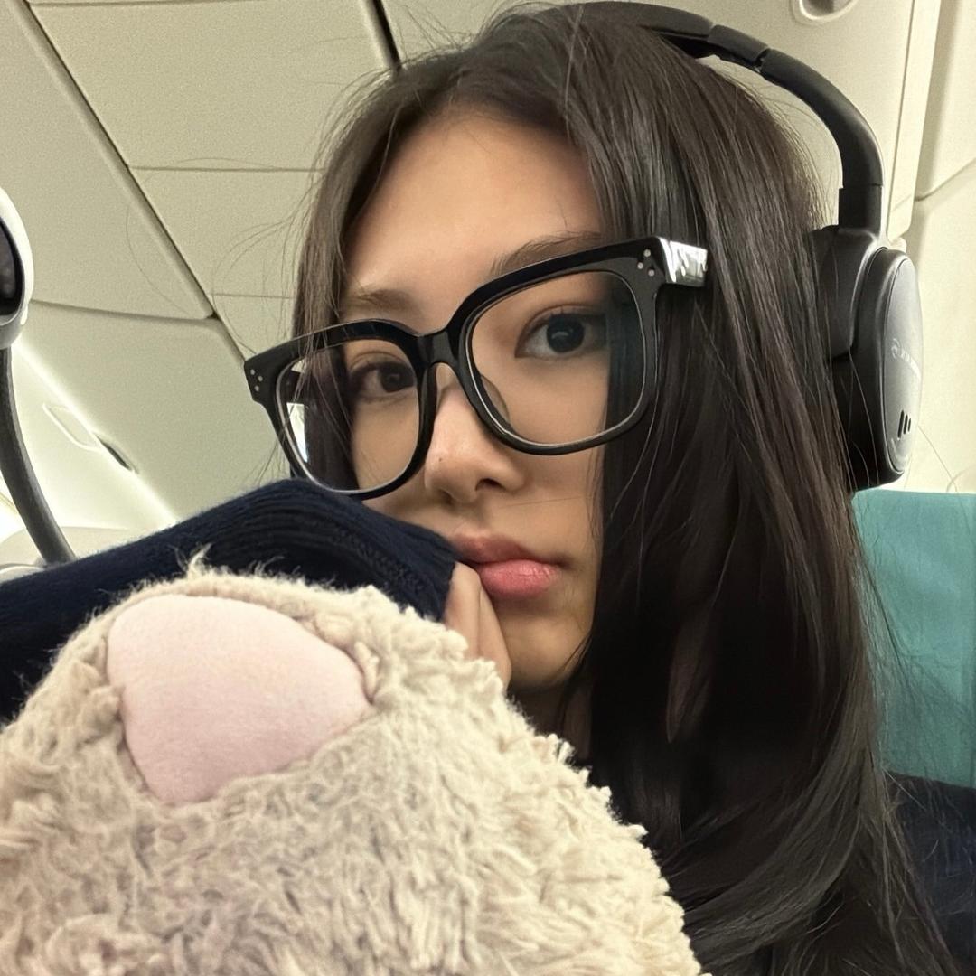 小猫捕手