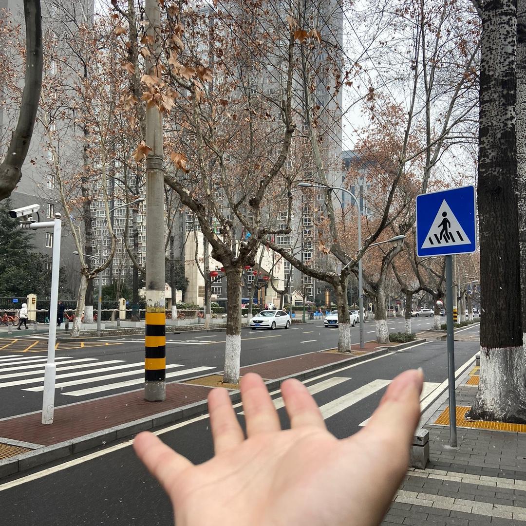洋洋。