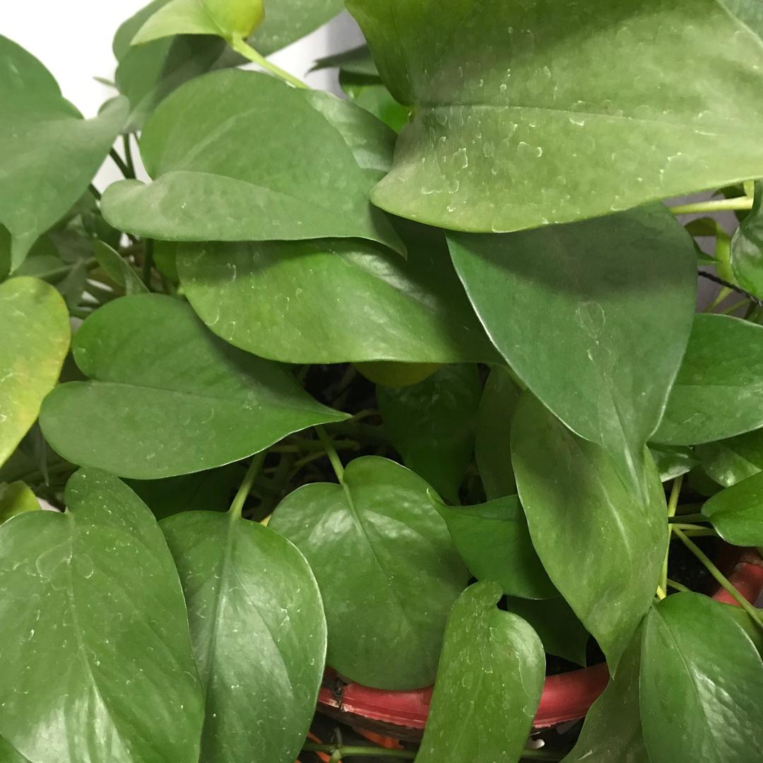 西安新房二手房房屋租赁