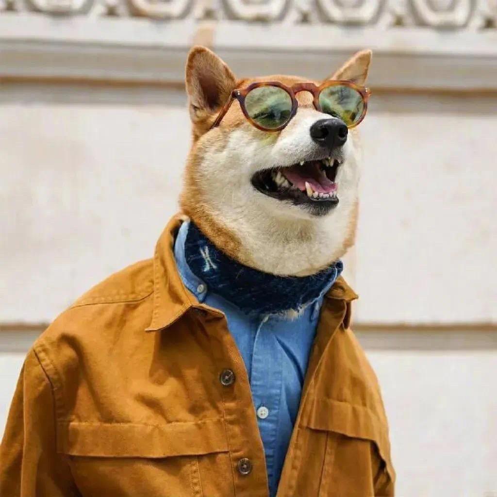 水果摊狗王🐶