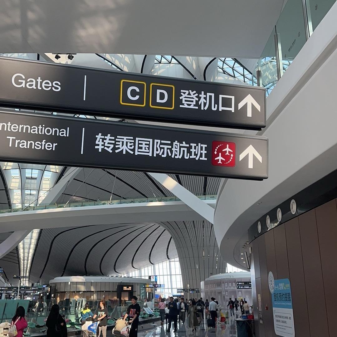 风中苇草摇曳之姿