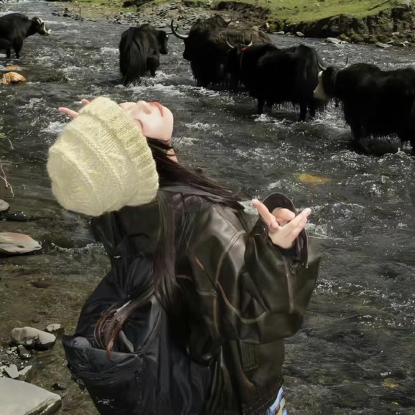 不爱吃🥕的兔子