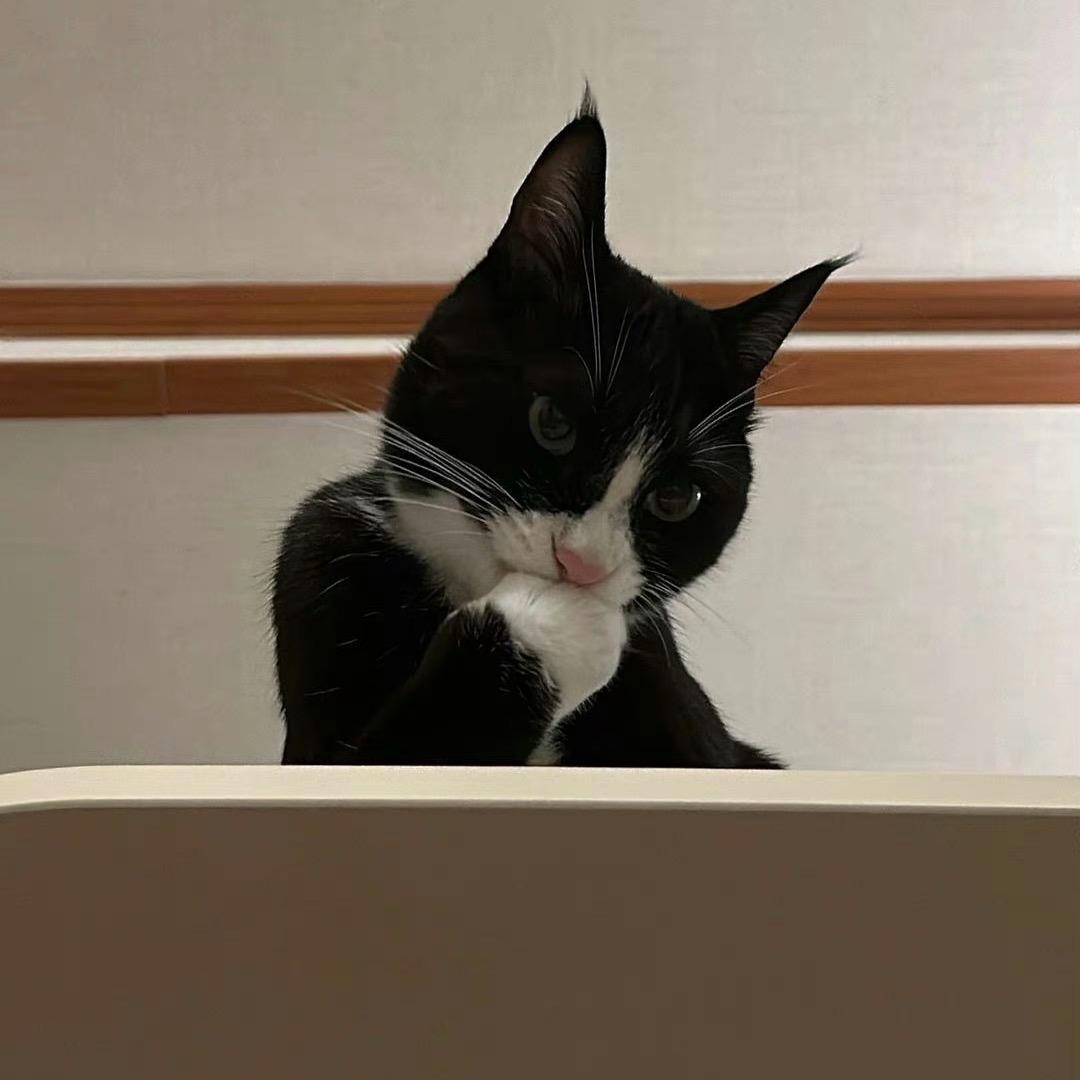 铭森