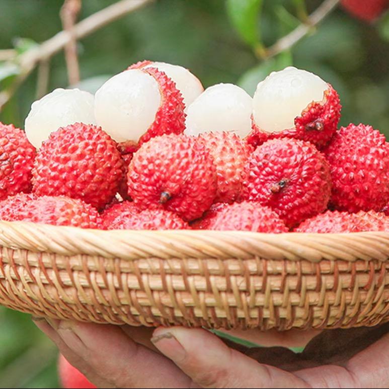 白糖罂荔枝鲜鲜果园