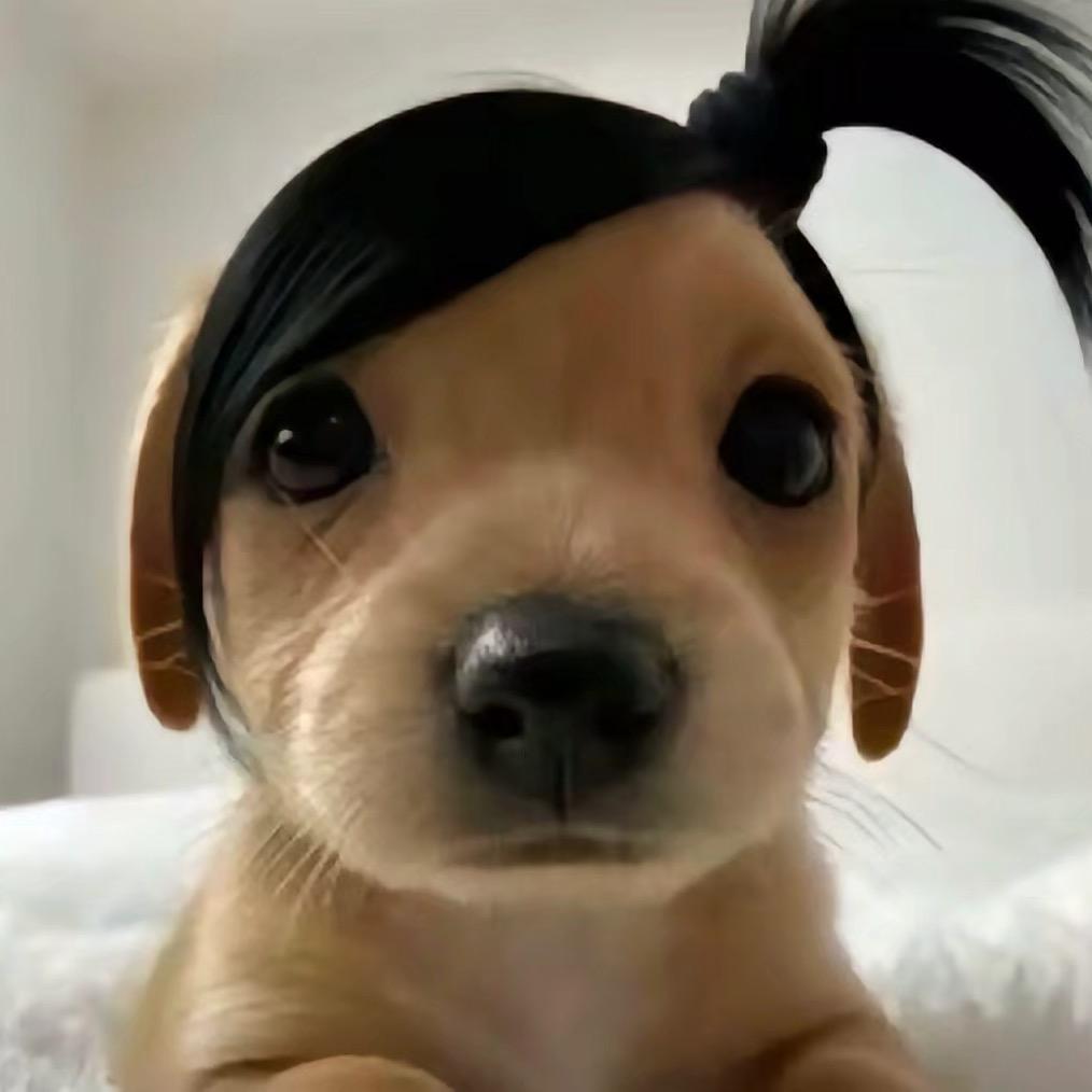 蹭痒痒
