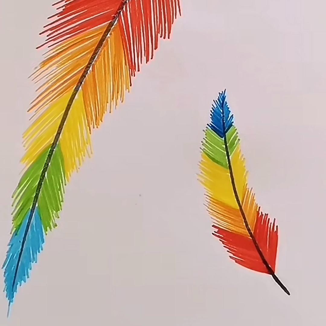 第二根羽毛